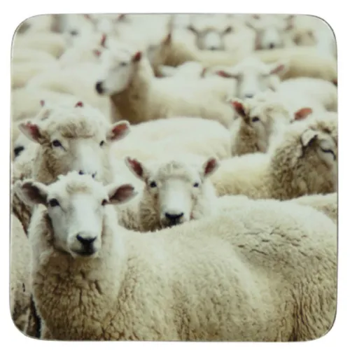 Mars & More glasonderzetter Schapen